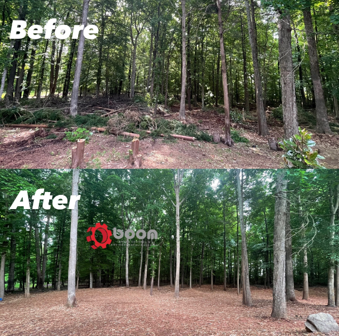 Boom Brush Control offers top-notch forestry mulching and land clearing services in Matthews, NC. Environmentally friendly and cost-effective. Get a quote now!