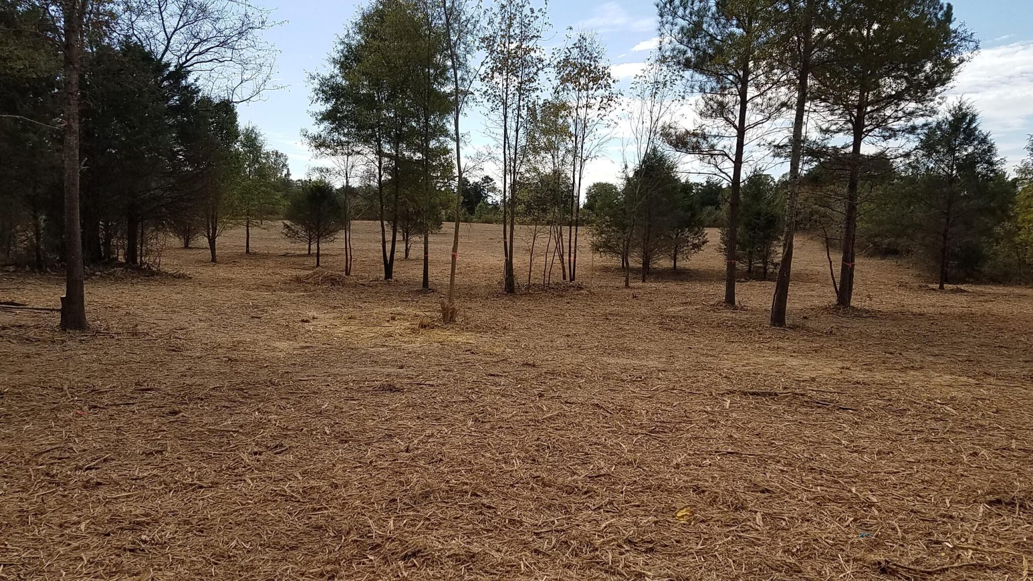 Boom Brush Control | Land Clearing & Mulching | Charlotte NC
