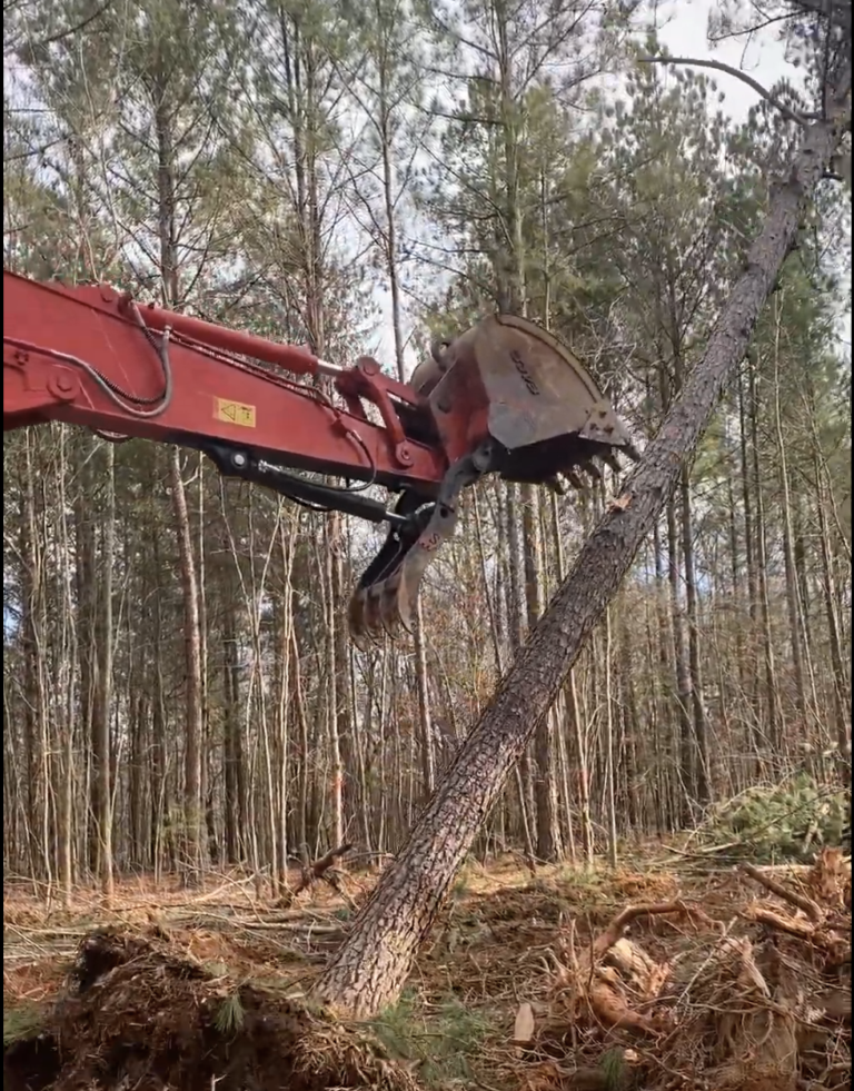 Boom Brush Control | Land Clearing & Mulching | Charlotte NC